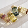 Stray Willow Essential Oil Perfume Discovery Set