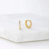 Ally Huggie Earring - Gold